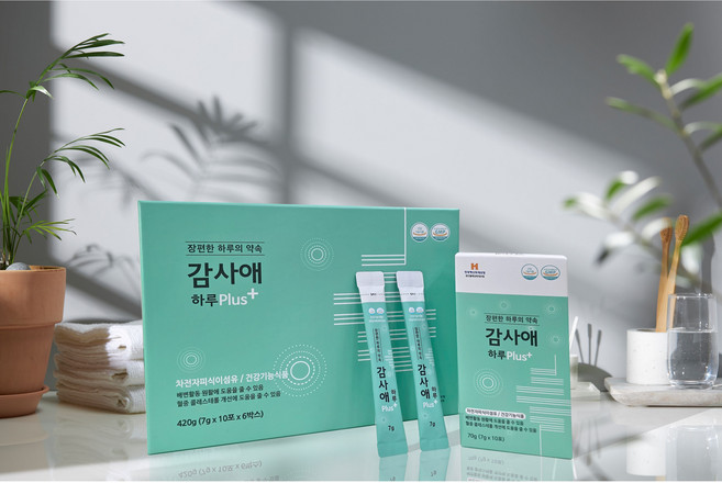 감사애하루 속편하고 시원한 하루, 300g, 1개