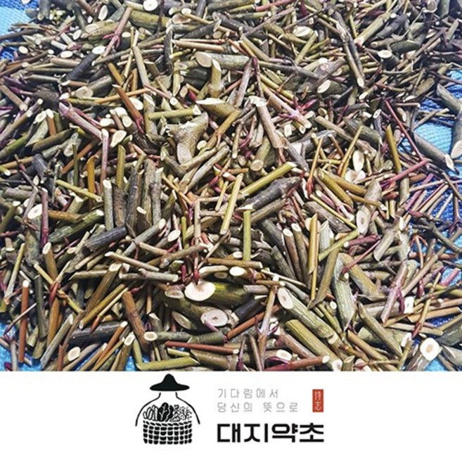 강원도 정선 100% 자연산 벌나무 전문 약초인이 직접 채취한 자연산 벌나무 산청목 가지, 자연산 벌나무 500g, 500g, 1박스