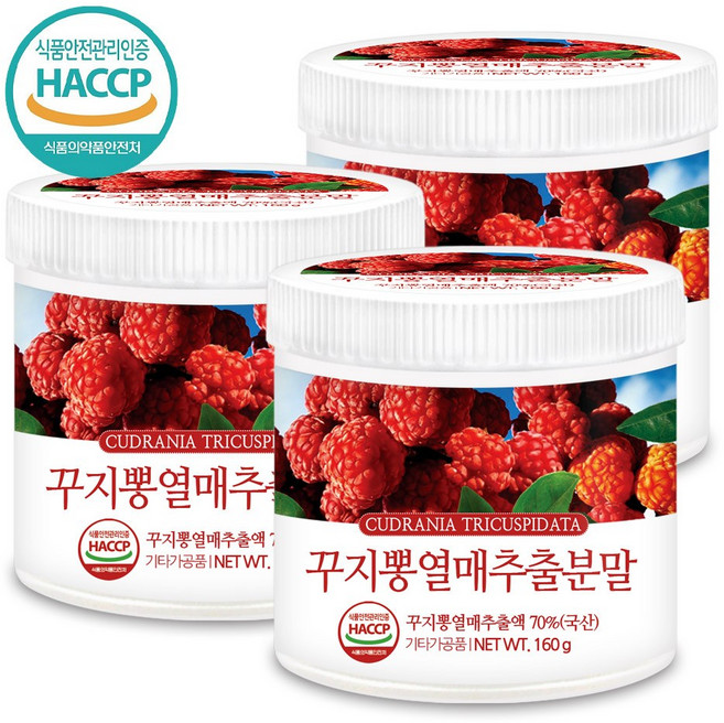 푸른들판 국산 꾸지뽕 열매 분말, 3개, 160g