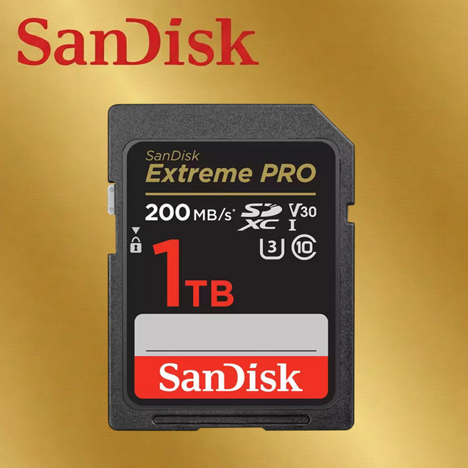 샌디스크 익스트림 프로 Class10 Extreme Pro UHS-I U3 V30 SDXXD SD 메모리카드, 1개, 1TB