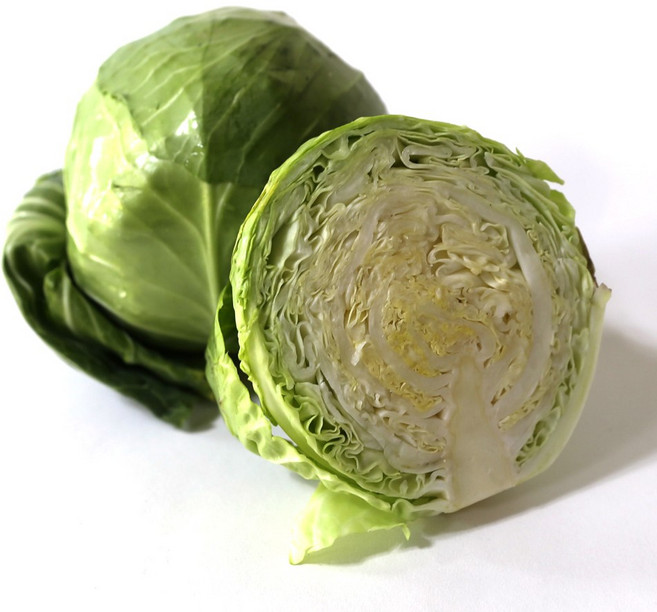 싱싱한 제주 햇 미니 양배추, 5kg, 1개