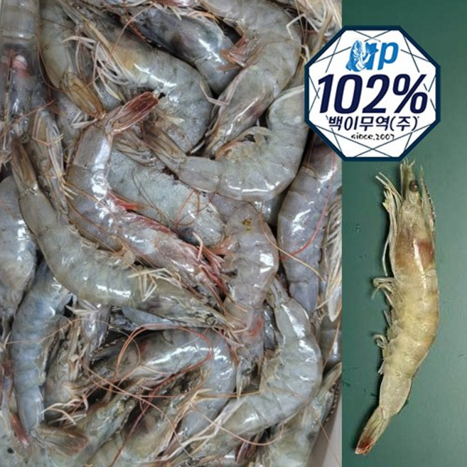페루/에콰도르/사우디 흰다리새우 2kg, 1개, 특대(60-80마리)