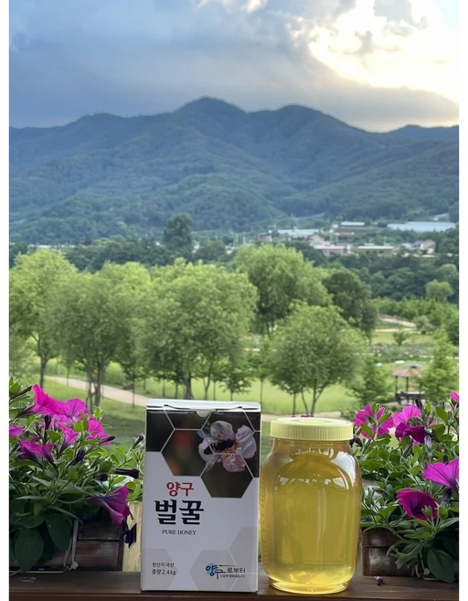 [착한가게] 양구벌꿀 천연벌꿀 양봉 국산 100% 2.4kg, 1개 - 쿠팡