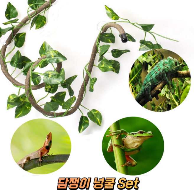아스티 크레스티드 게코 도마뱀 사육장 꾸미기 인조넝쿨 세트 파충류 인테리어, 1세트, As Shown