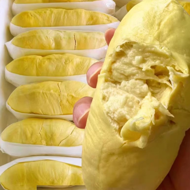 [태국항공직송]천상의맛 최고급품종 생두리안 손질 두리안, 1박스, 500g