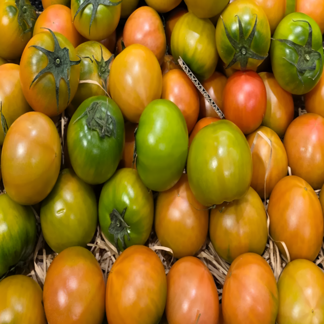 대저토마토 짭짤이 2.5kg 부산 농장 발송 s 짭짭이, 1박스, 대저토마토 M과 2.5kg