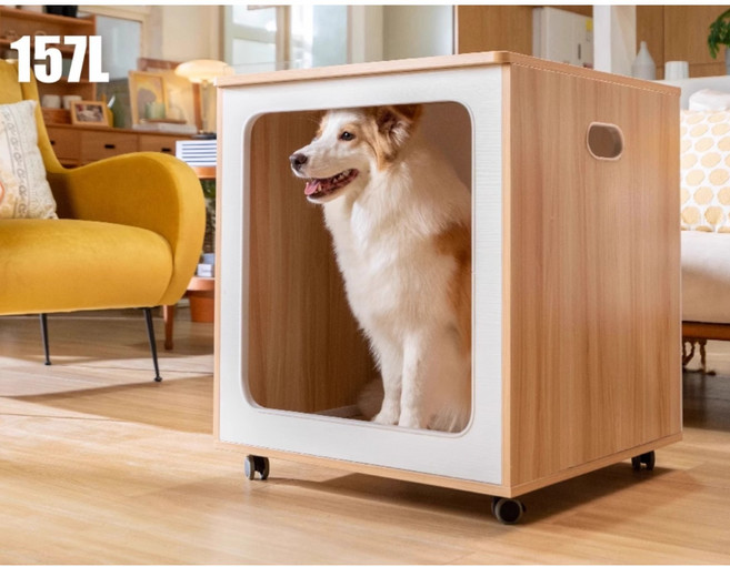 CLEZOO 프리미엄 강아지 펫 드라이룸 애견 드라이기 대형견 대용량 반려동물 고양이 건조기, 1개