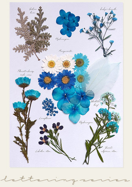 [국내 최초] 프레스코21 프리미엄 압화 레터링시리즈 L, 블루문