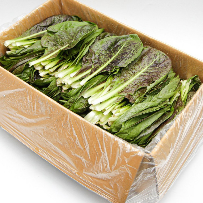 국내산 특품 치콘 한박스 2kg 쌈채소 쌈야채 샐러드채소 모듬쌈 가락시장 당일새벽경매, 치콘 1박스(약 2kg내외), 1개