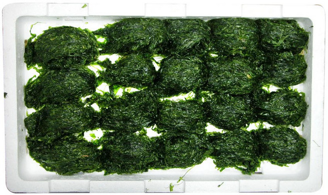 생파래 완도산 산지직송 제철 물파래 햇채취 이강산닷컴, 1개, 400g