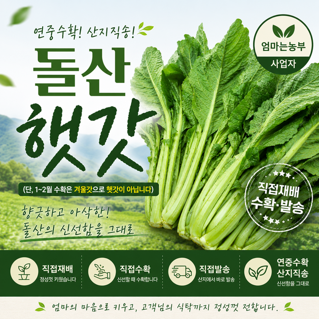 [엄마는농부] 돌산갓 생갓, 3kg, 1박스