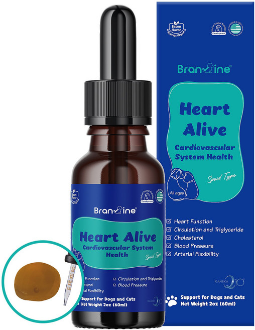 브랜바인 심장영양제 1병 강아지 고양이 심장약 심장비대증 오메가3 코큐텐, 1개