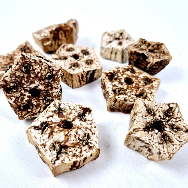 애니몰파크 마호가니 천연 나무조각 1개 10P 앵무새 장난감 뜯기 입질 놀이 훈련 용품