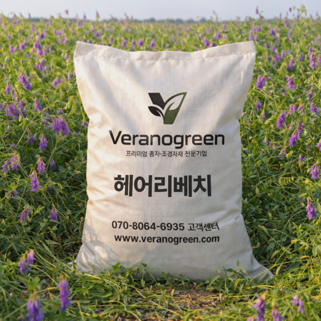 헤어리베치 씨앗 1kg, 1개