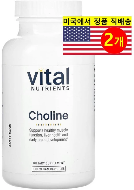 ProHealth Longevity 콜린 550mg 보충제 Choline, 2개, 120정 - 쿠팡