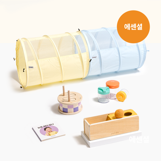 피카비 플레이키트 Everyday 5 에센셜 (9-10개월) 몬테소리교구 9개월아기장난감, 1개