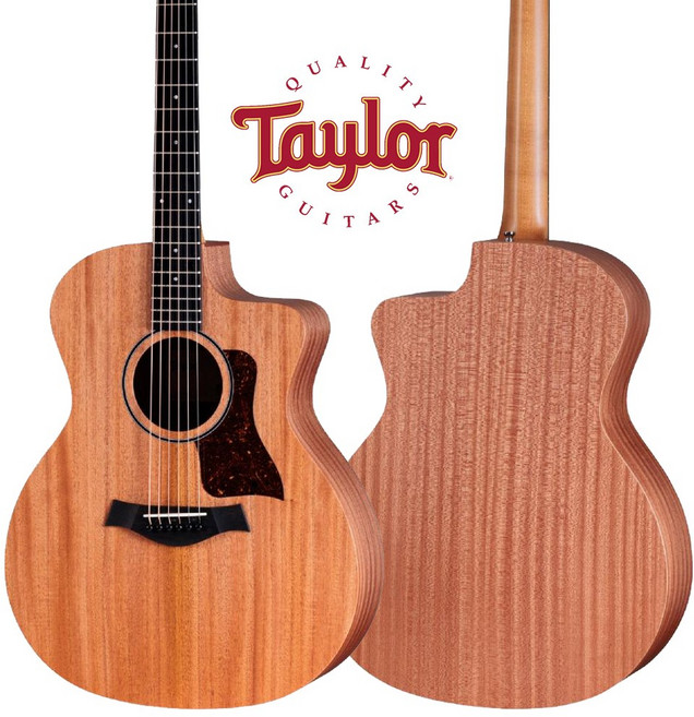 테일러 24ce GA바디 탑솔리드 Fishman 픽업 어쿠스틱 통기타, Taylor 24ce, 1개