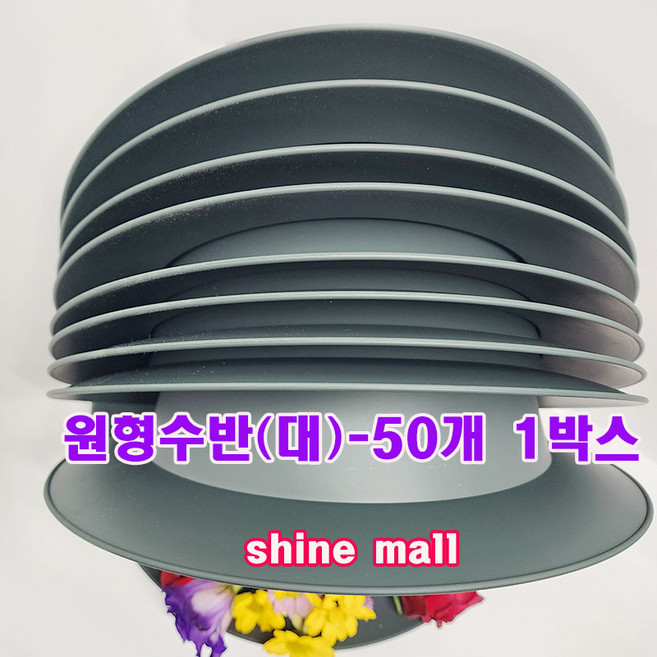 오아시스 플라스틱 원형수반(대) 1박스 50개 무료배송/ 꽃꽂이 화훼작식용