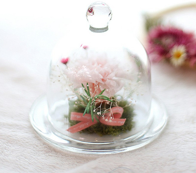 쿠루 캔들 미니 버드돔 유리돔 글라스돔 글래스돔