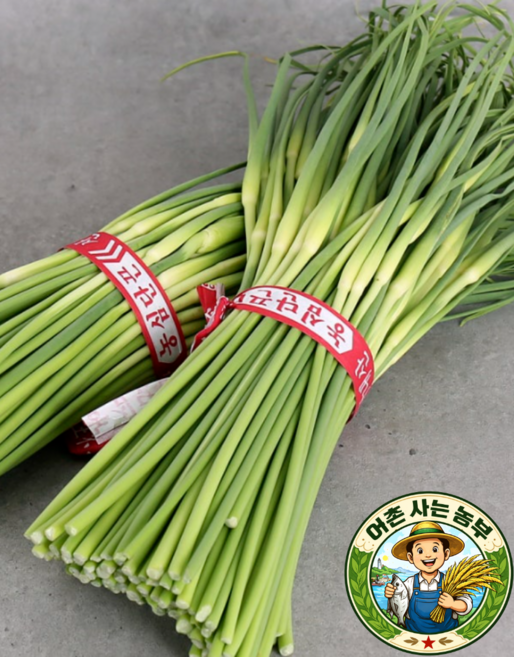 아삭하고 부드러운 국내산 마늘쫑 국산마늘쫑, 1개, 1kg