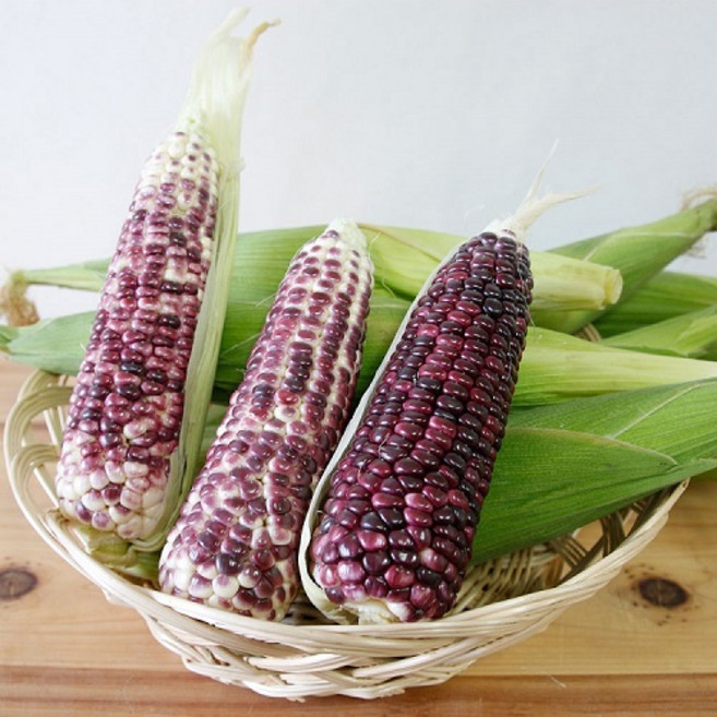 불로치농장 25년 햇 곡성 삶은 국내산 냉동 흑찰옥수수 5팩(총10개), 냉동흑찰옥수수5팩(14cm이상), 1세트