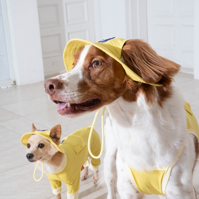 제라미펫 X 퍼피갤러리 아웃사이드 쿨링 버킷 강아지 모자 대형견모자, 라벤더, 1개