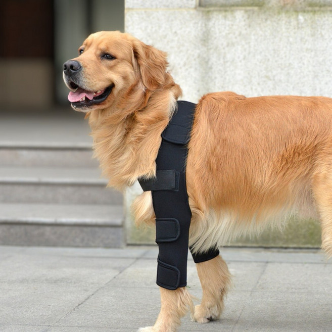 조이포 강아지 앞다리 슬개골 관절 보호대, 1세트, 블랙
