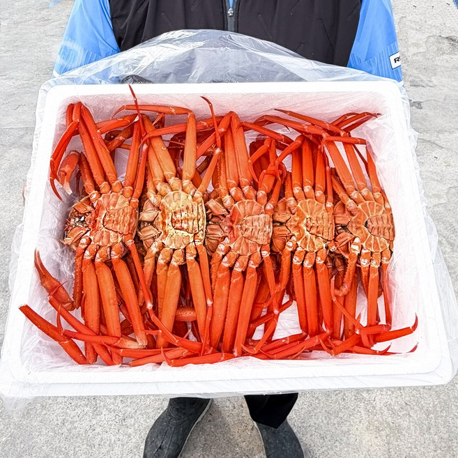 [탑유통]동해시 수율80% /산지직송/품질보증/ 특품A급 /박달홍게 자숙상품 (7-11미), 1박스, 3kg