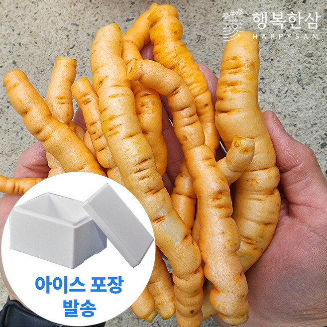 국산 햇 생지황 금산 무료세척 산지배송 빠른배송, 600g, 1개