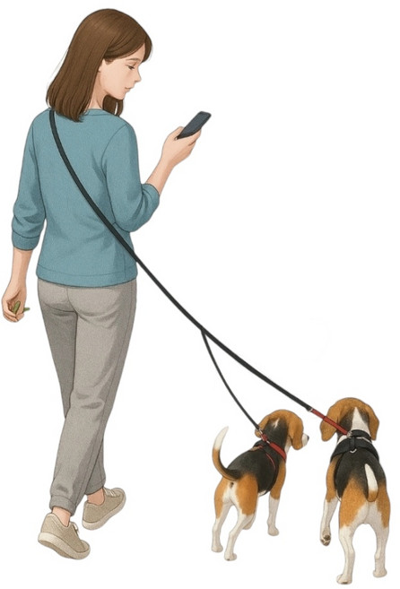 패피퍼피 꼬이지않는 트윈 듀얼 두마리 리드줄, 1개, 핑크