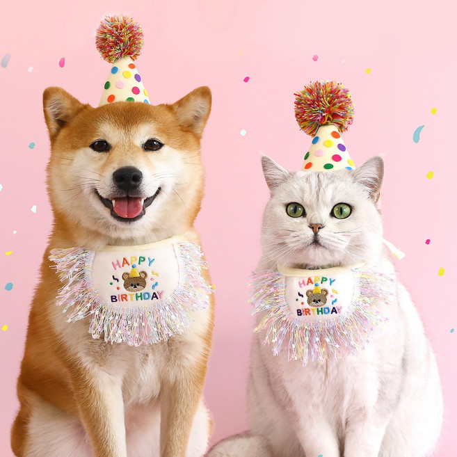 달달멍멍 반려동물 애완동물 생일파티 동글 모자+술 스카프, 동글모자+생일스카프, 1개