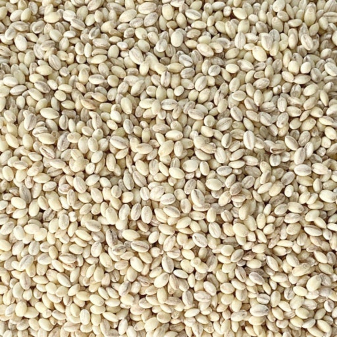 늘찰보리쌀 2025년산 햇늘찰보리 1kg 국산 새찰보리, 1개