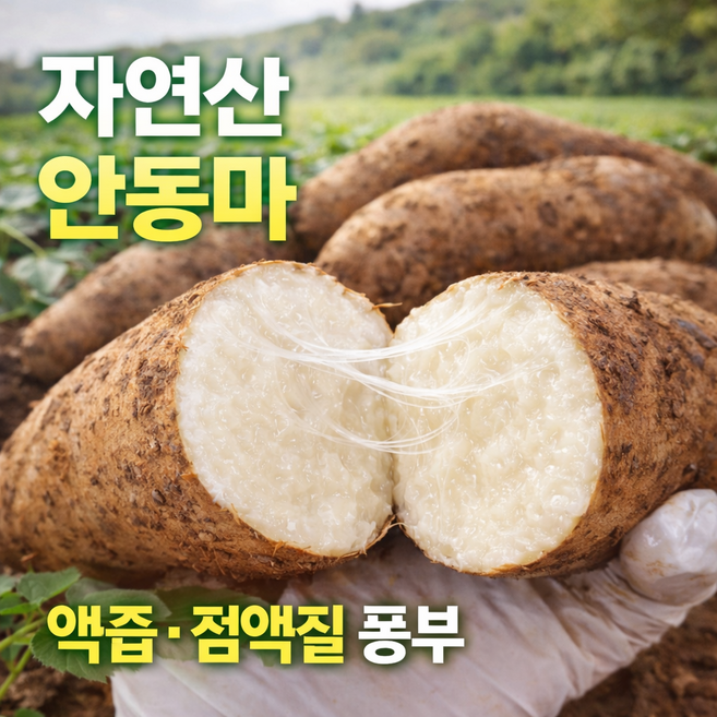 가정용 안동마 장마 단마 혼합과, 1박스, 5kg