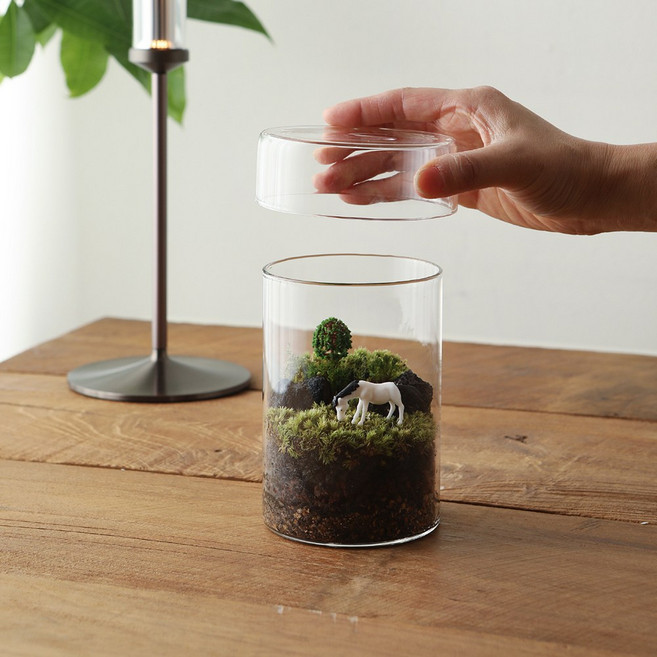 에코 테라리움 용기 20cm