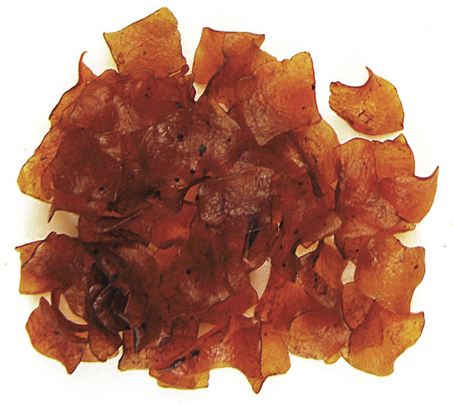 佳瑞發 麻辣蒟蒻片 台灣製造 香辣夠味 Q彈有嚼勁, 100g, 1個