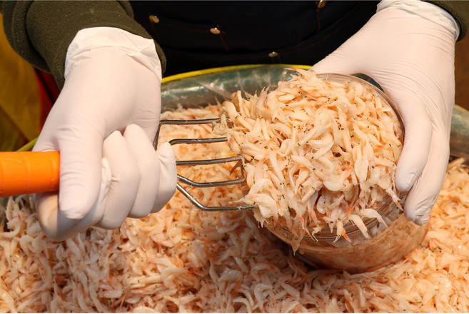 국내산 1000% 광천 오복토굴 명품 새우젓 - 오젓 500g~5kg 1개, 500g