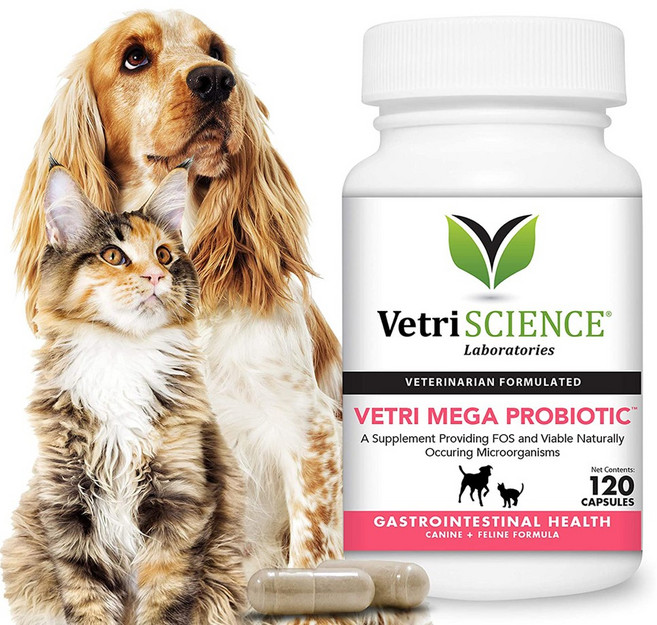 VetriScience Laboratories 강아지 고양이 100억 CFU 프로바이오틱 120캡슐, 1개