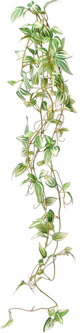 프랑프랑 FrancFranc 등반 플랜트 포토스 그린ㅡ215106, 프랑프랑 FrancFranc 등반 플랜트 포토스 그린ㅡ