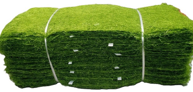 국내 청정 갯벌 재래식 햇 생감태김 100장, 1박스, 450g