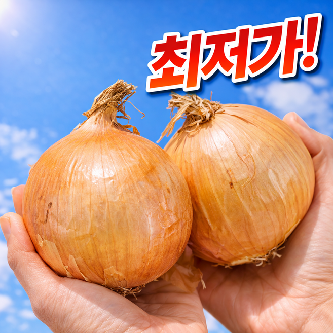 [100박스한정판매] 국내산 아삭달큰 산지직송 햇양파, 1박스, 3kg(중)
