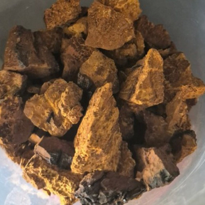 깊고 구수한 풍미 건강한 자연의 맛 러시아산 말린 건조 원물 차가버섯, 1세트, 300g