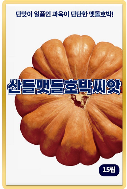 10위 - 산들 맷돌호박씨앗 15립 단맛이 일품인 단단한 소량 맷돌 호박씨 종자, 1개