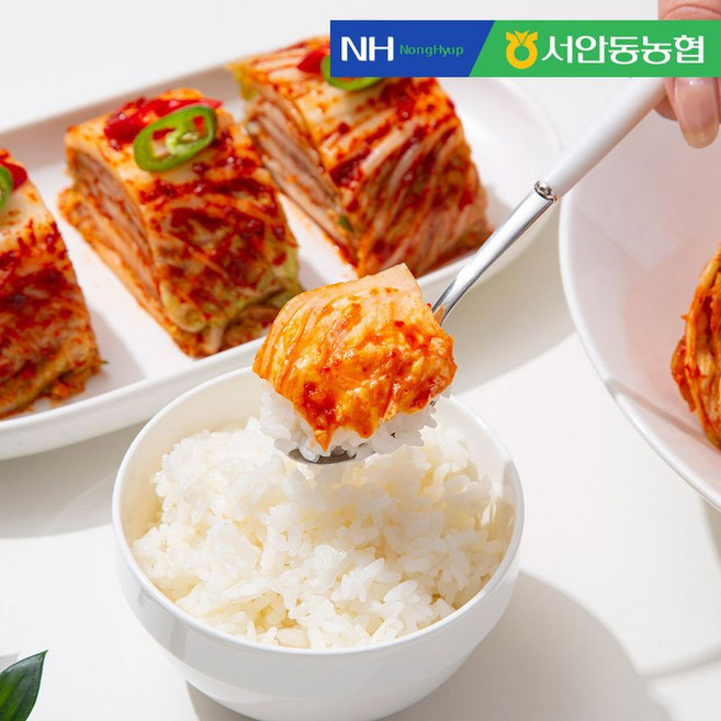 농협 풍산김치 프리미엄 포기김치, 10kg, 1개