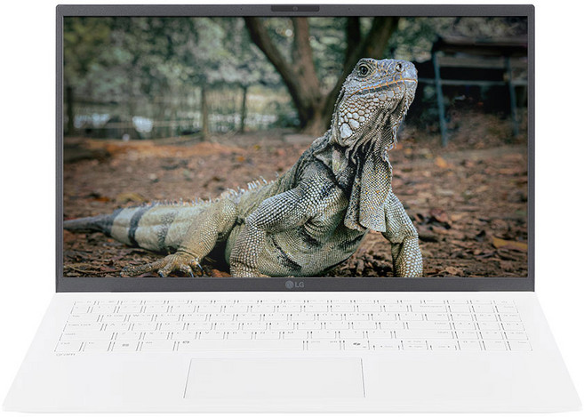 LG전자 2024 그램 16 코어 Ultra5, 스노우화이트, 256GB, 16GB, WIN11 Home, 16Z90S-GA5CK