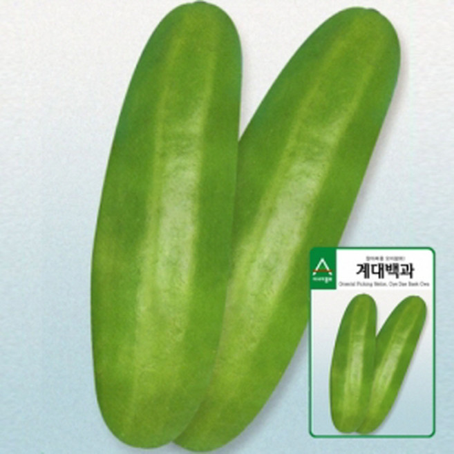 아시아종묘 계대백과 오이참외 씨앗 40p, 1개