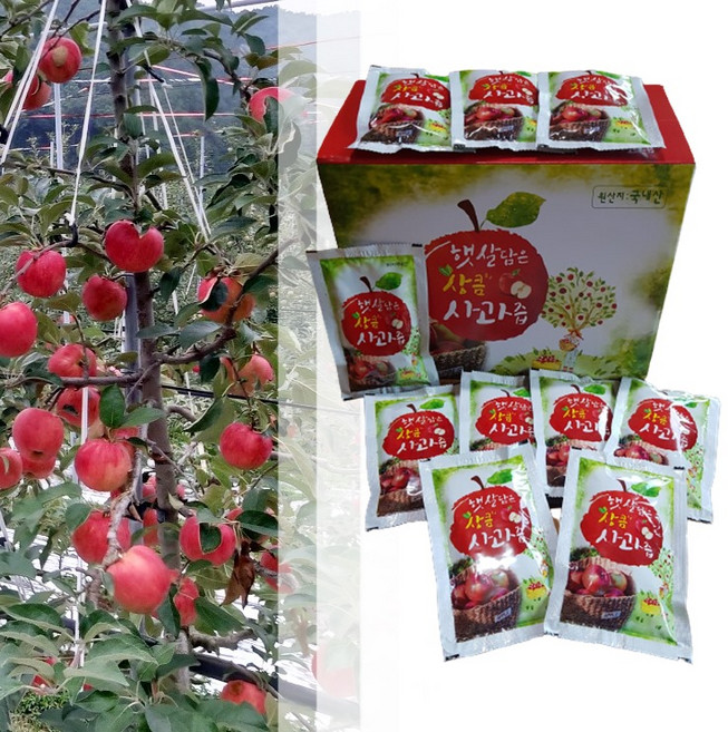 의성사과 햇 부사사과 100프로 사과즙 120ml 50팩 선물용