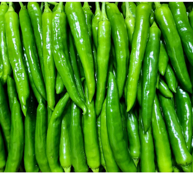 (가락시장까망콩) 당일경매 싱싱하고 안매운 부드러운 롱그린고추 1kg, 1개