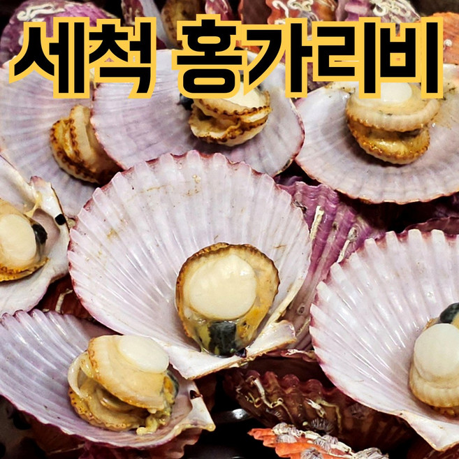 [초초특가] 통영 홍가리비 세척 가리비, 1박스, 3kg