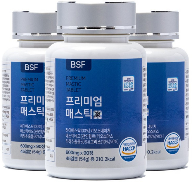 BSF 프리미엄 매스틱정 HACCP 인증 600mg x 90정, 54g, 3개