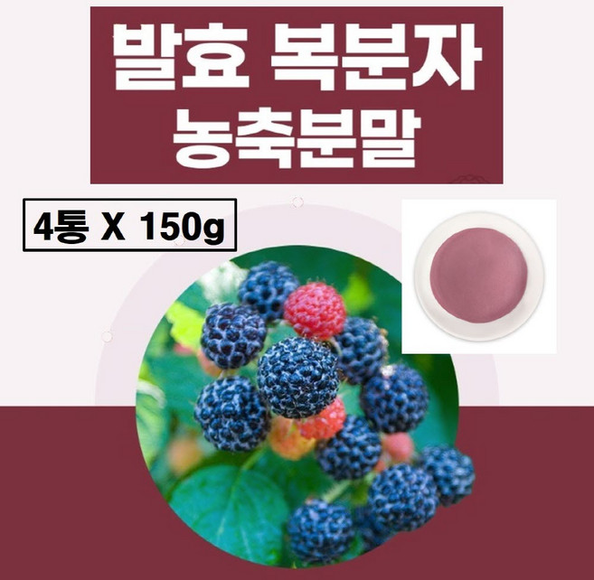 고창 복분자분말 국산 가루 식약청 haccp 인증 국내산 발효 농축 농축액 파우더 고창산 판매 먹는법 식약처 해썹, 4개, 150g